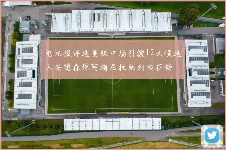 电讯报评选曼联中场引援12大候选人安德森琼阿梅尼托纳利均在榜
